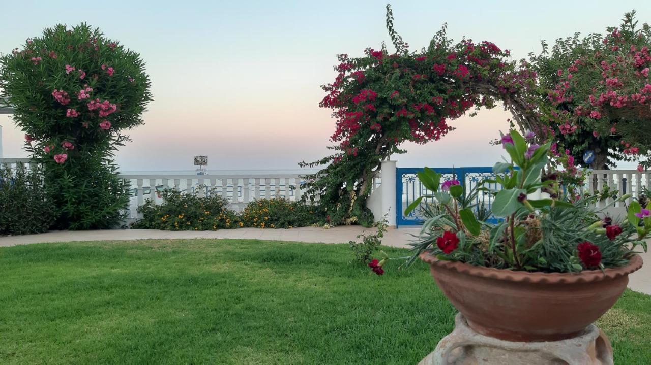 Antonios Apartments Stegna Archangelos  Luaran gambar