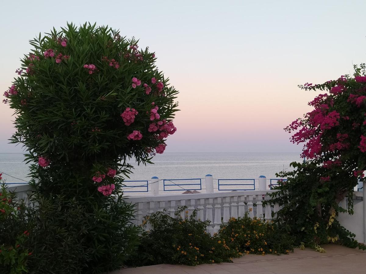 Antonios Apartments Stegna Archangelos  Luaran gambar
