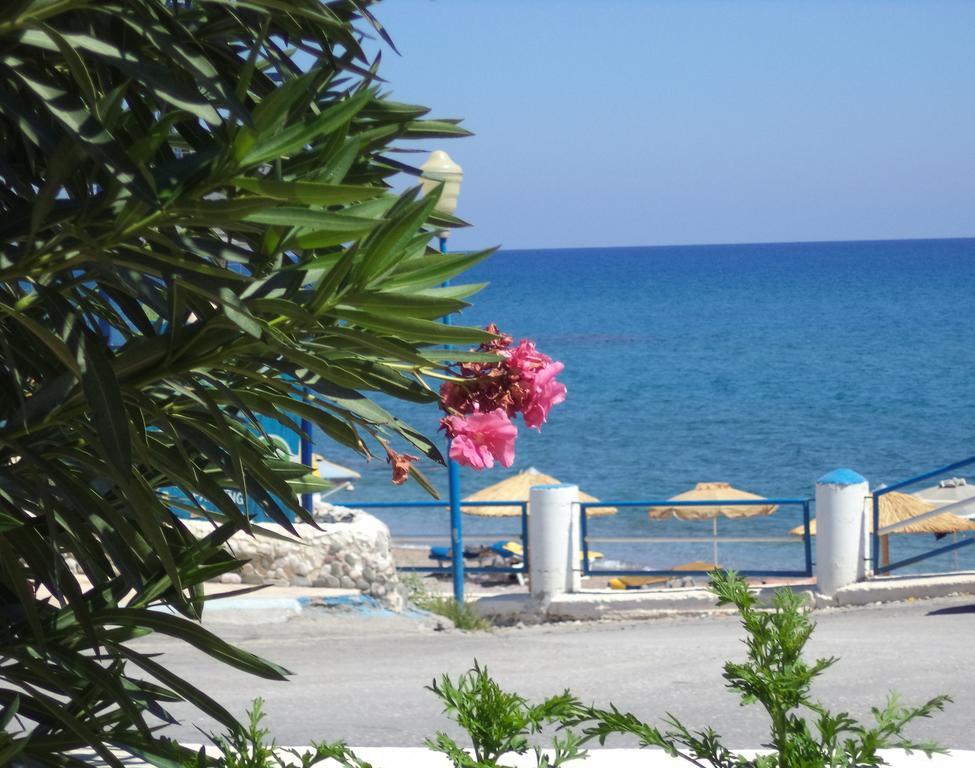 Antonios Apartments Stegna Archangelos  Luaran gambar