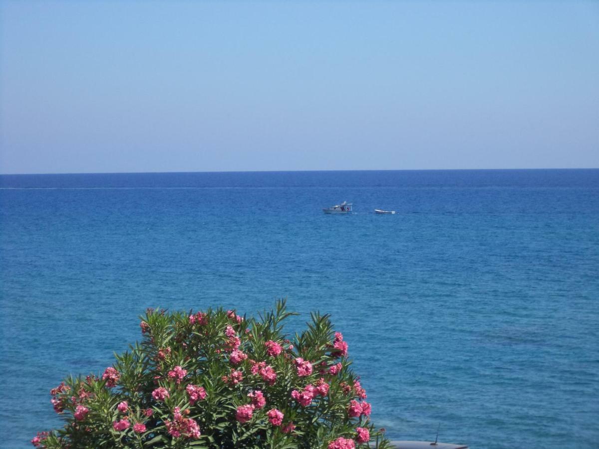 Antonios Apartments Stegna Archangelos  Luaran gambar