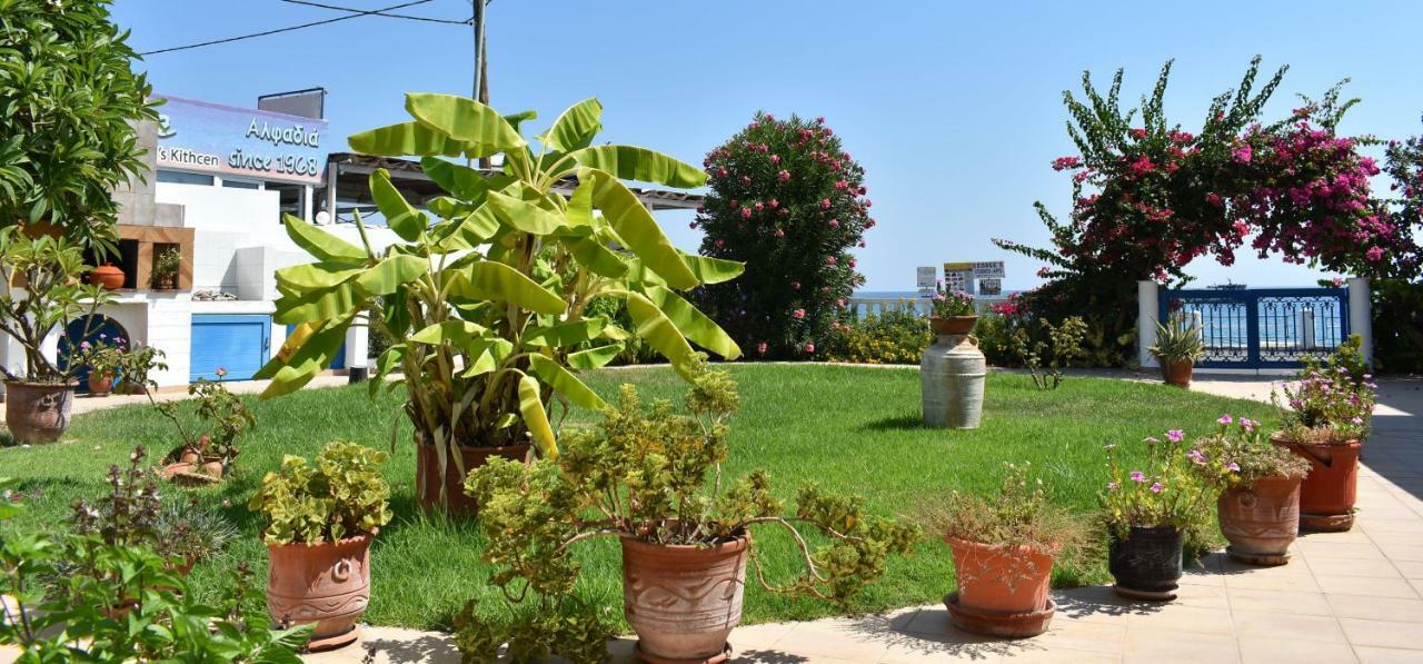 Antonios Apartments Stegna Archangelos  Luaran gambar